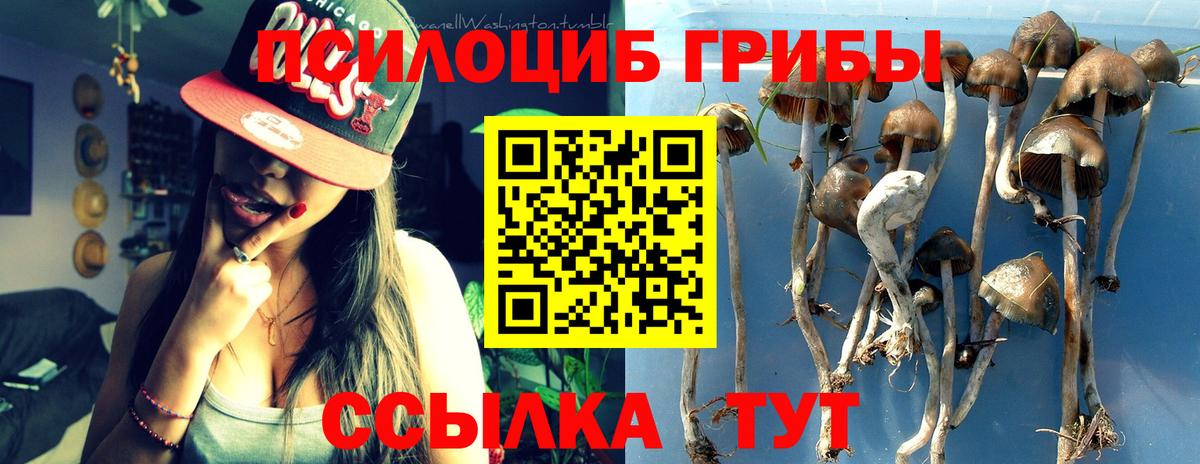 Псилоцибиновые грибы Psilocybe  Вход с VPN  Краснодар 